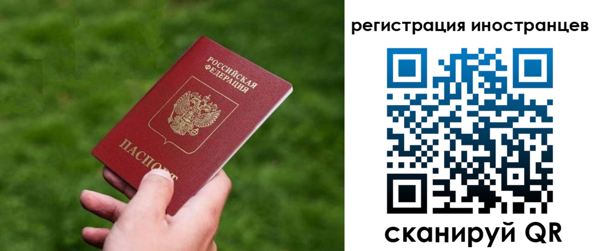 прописка ребенка в Геленджике